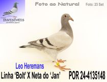 POR 24-4135148